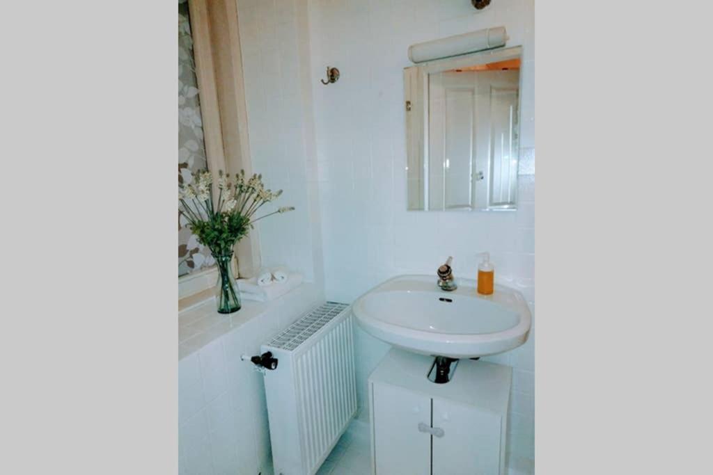 Family Apartment With Two Bathrooms Near To City Center 비엔나 외부 사진